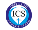 Instituto Carlos Steeb