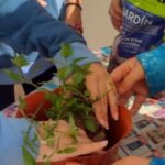 Comité ambiental