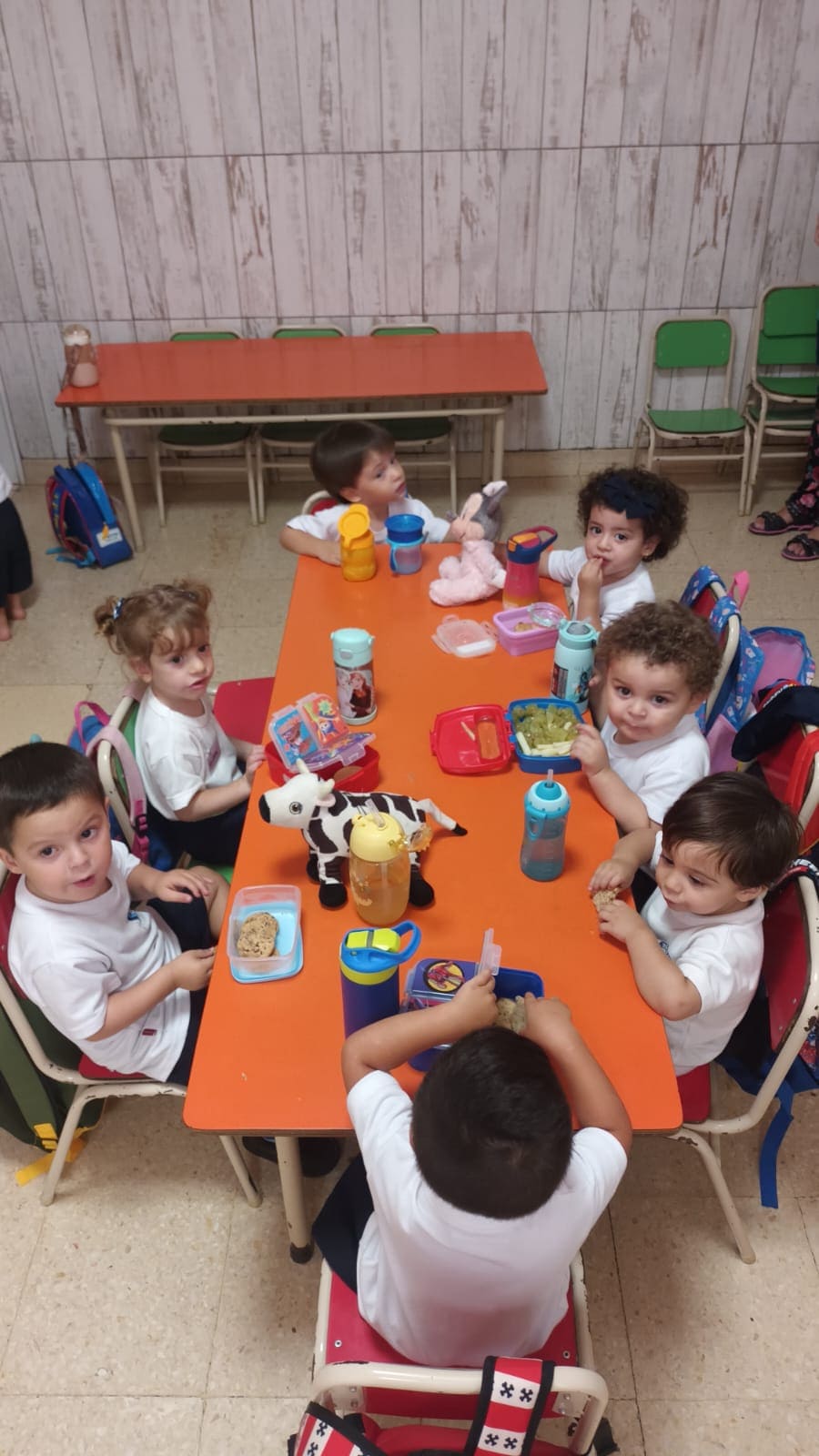 Lee más sobre el artículo Primera semana en el jardín