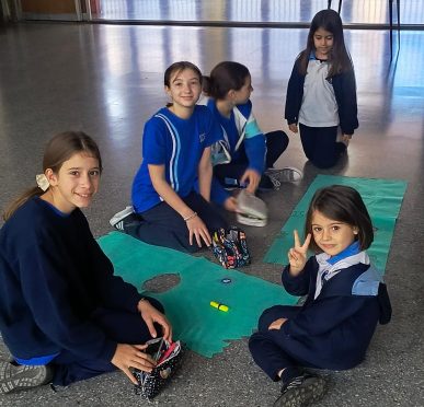 Proyecto Padrinos