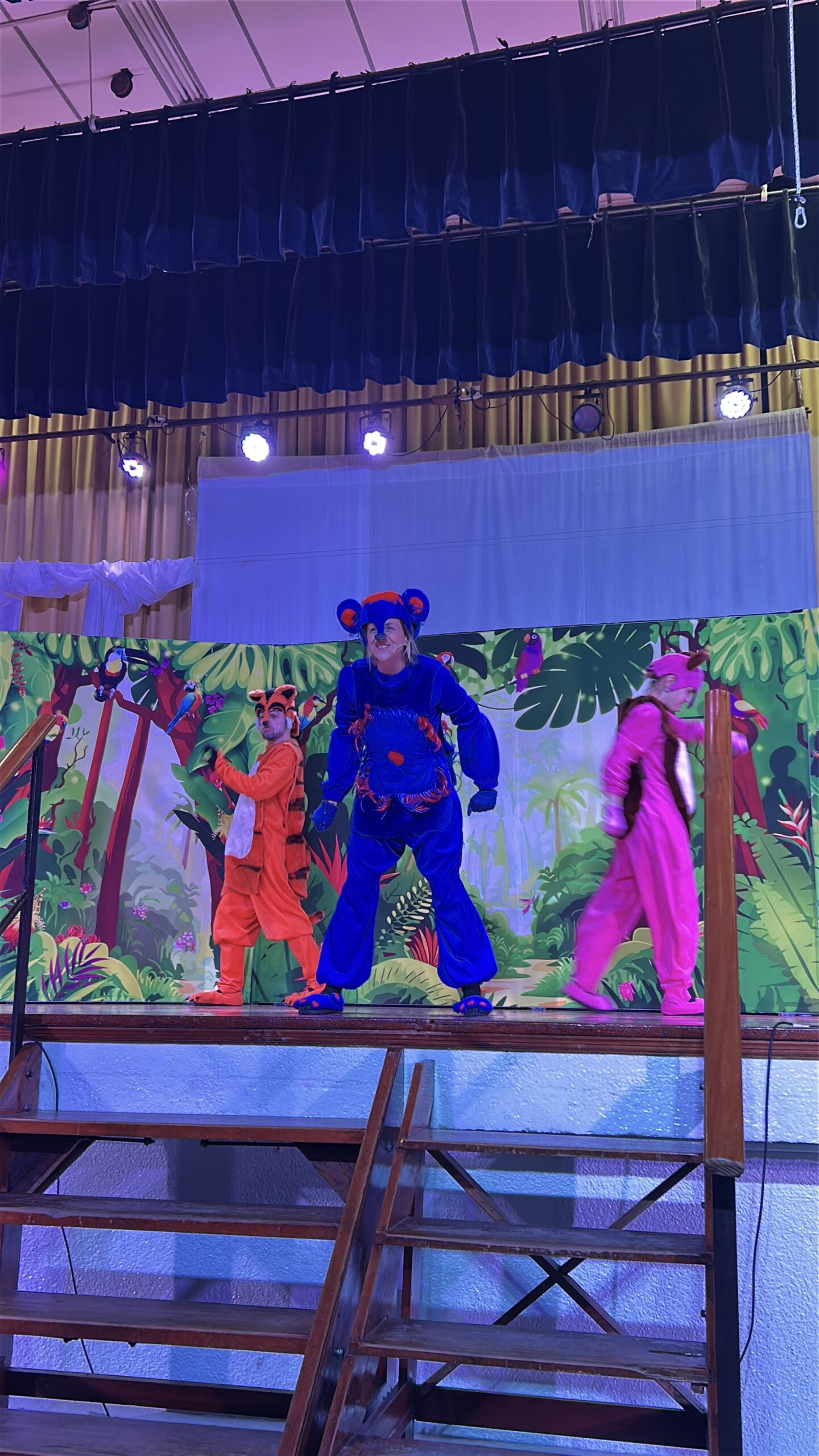 Lee más sobre el artículo Obra de teatro Jungle Life