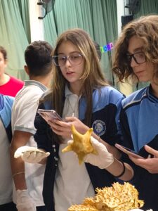 Lee más sobre el artículo Ciencias Naturales: Explorar, Experimentar y Descubrir